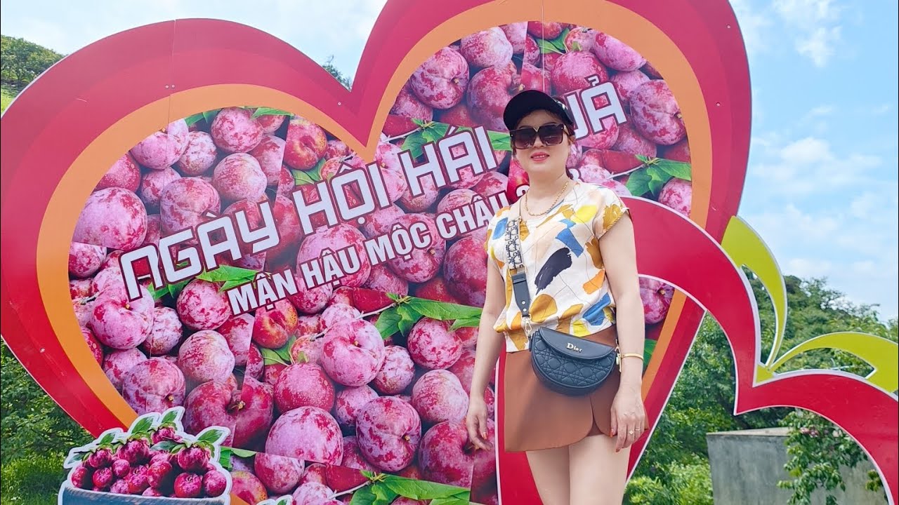 Ngày hội hái mận Mộc Châu vui quá xá